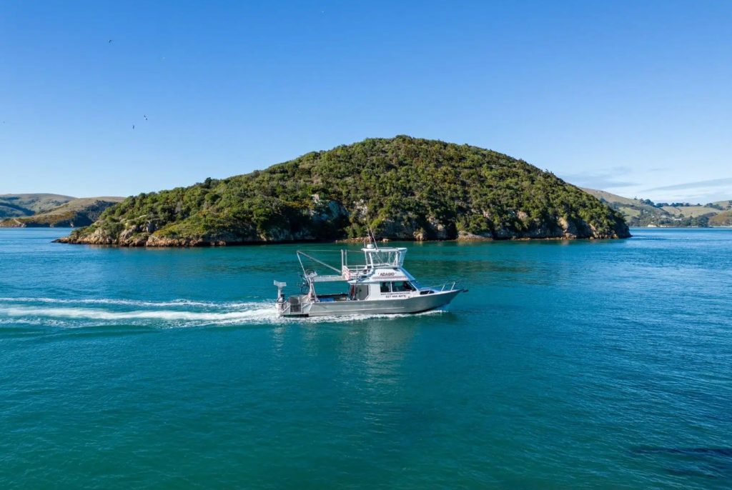 Otago Water Taxi in the water