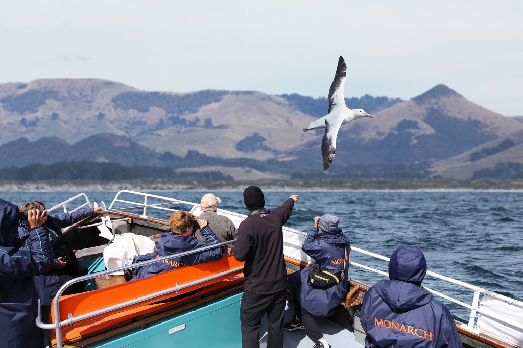On the Boat with Monarch Wildlife Cruises